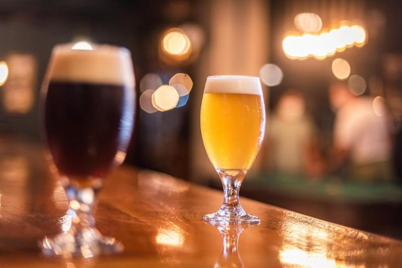 هاستل Galapagos Native