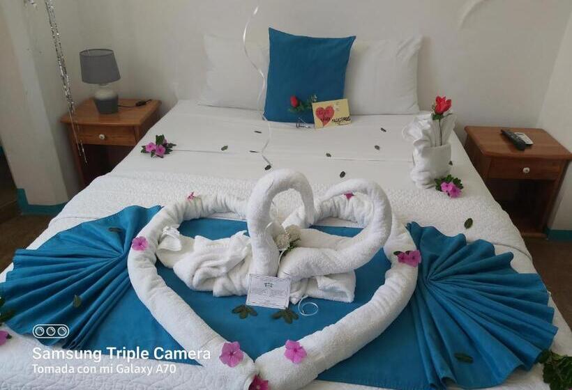 هاستل Galapagos Native