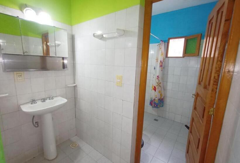 هاستل Hostal Benjamin