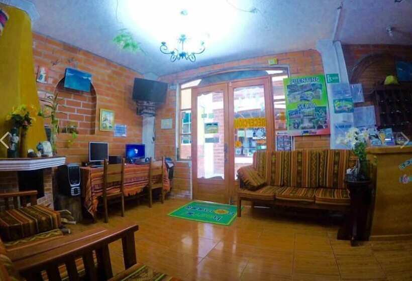 هاستل Hostal Nomada