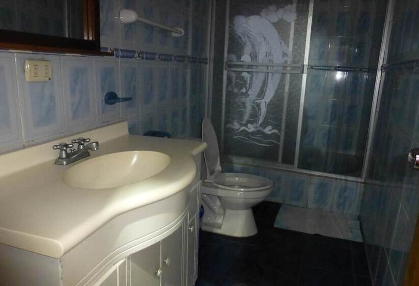 هاستل Hostal Nomada