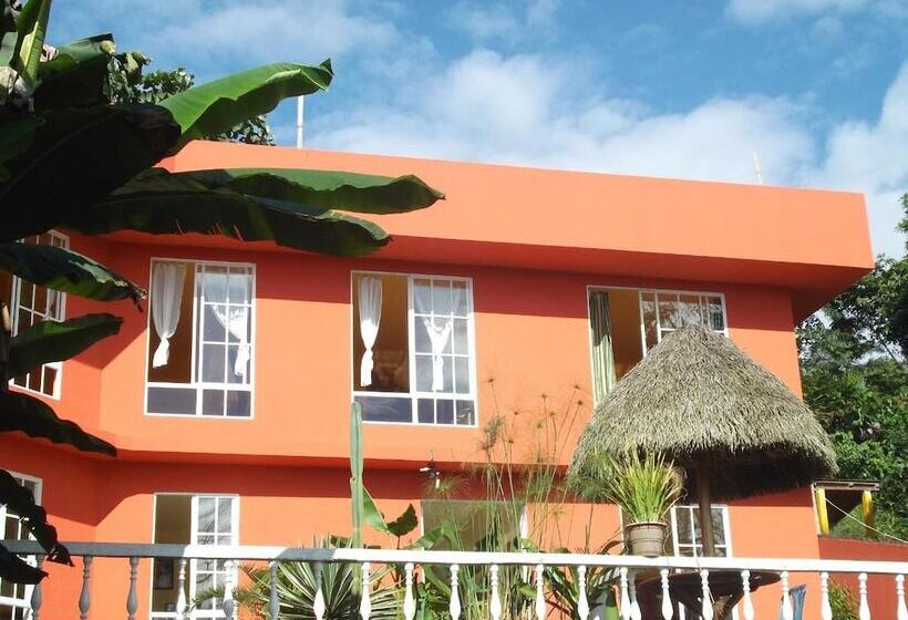 هاستل Hostal Tena ñaui