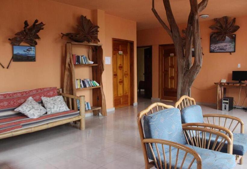 هاستل Hostal Tena ñaui