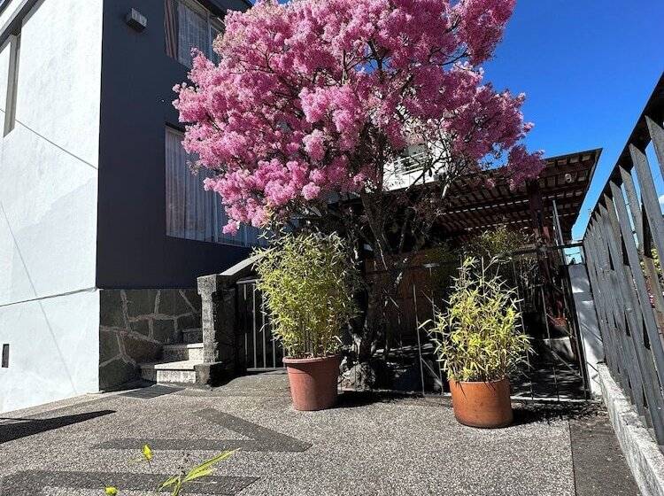 هاستل St. Gallen Haus