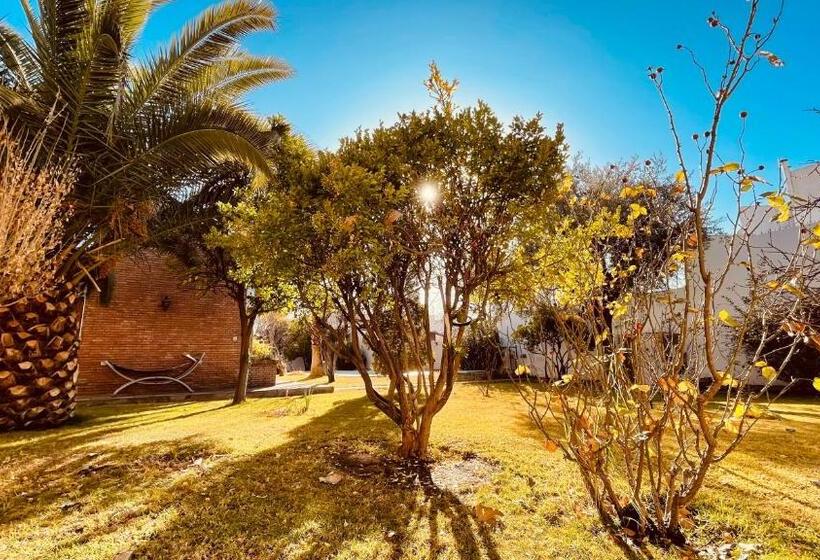 تختخواب و صبحانه Blue Sky Mendoza