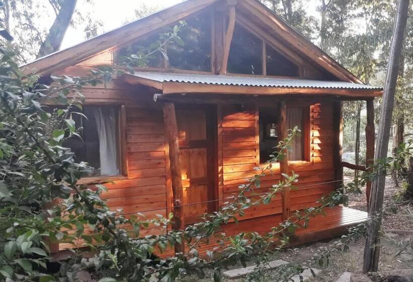 تختخواب و صبحانه Cabañas Las Moras