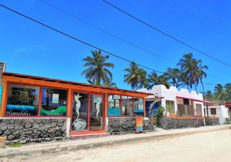 تختخواب و صبحانه Coral Blanco With High Speed Internet Starlink And Galapagos Tour Operator