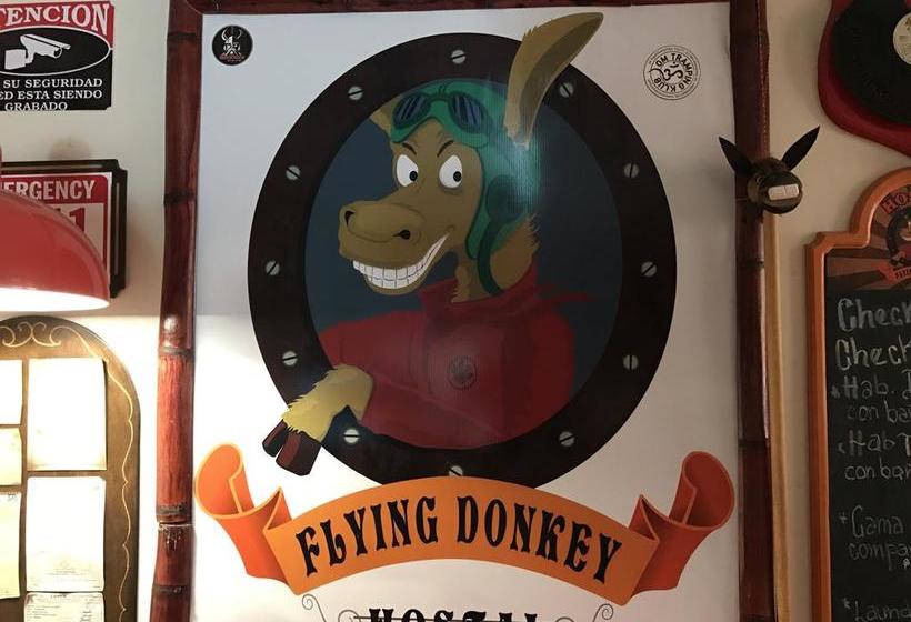 تختخواب و صبحانه Flying Donkey