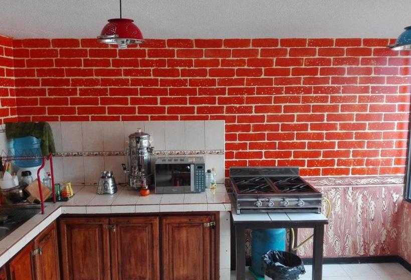 تختخواب و صبحانه Flying Donkey