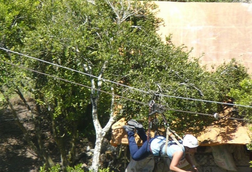 تختخواب و صبحانه Hostal & Spa Casa Real