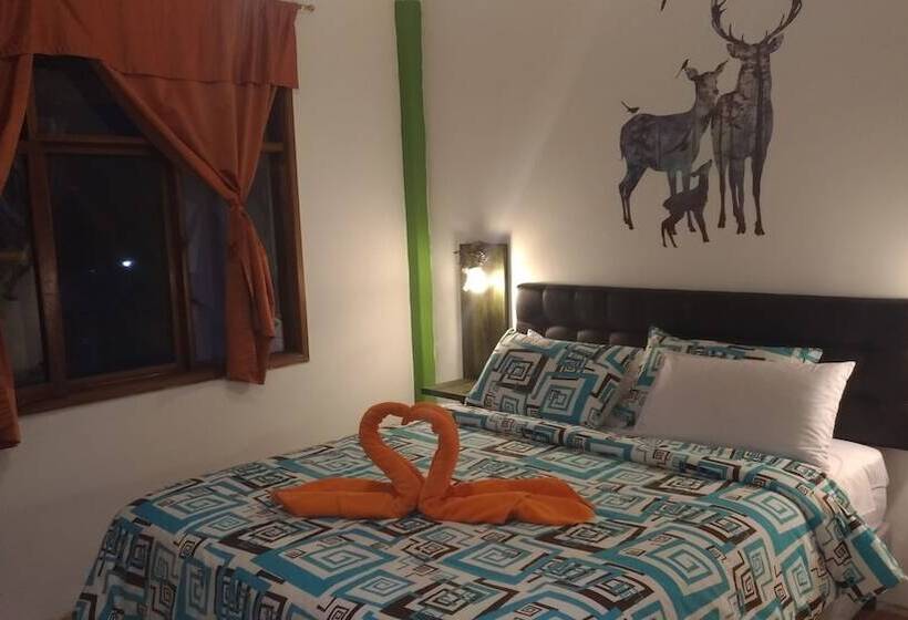 تختخواب و صبحانه Hostal & Spa Casa Real