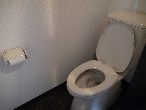 Fotos del hotel Kelly:  40