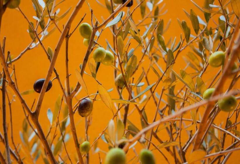 Fotos del hotel L'adresse Hôtel Boutique:  8