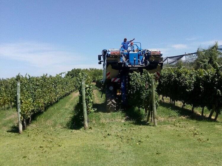 فندق Posada Cavieres Wine Farm