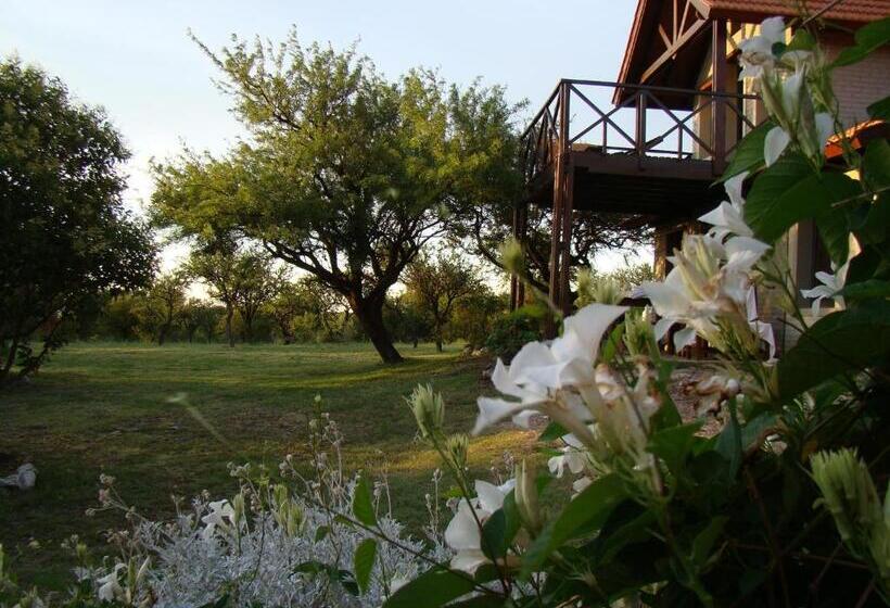 اقامتگاه Cabañas Cerros Del Sol