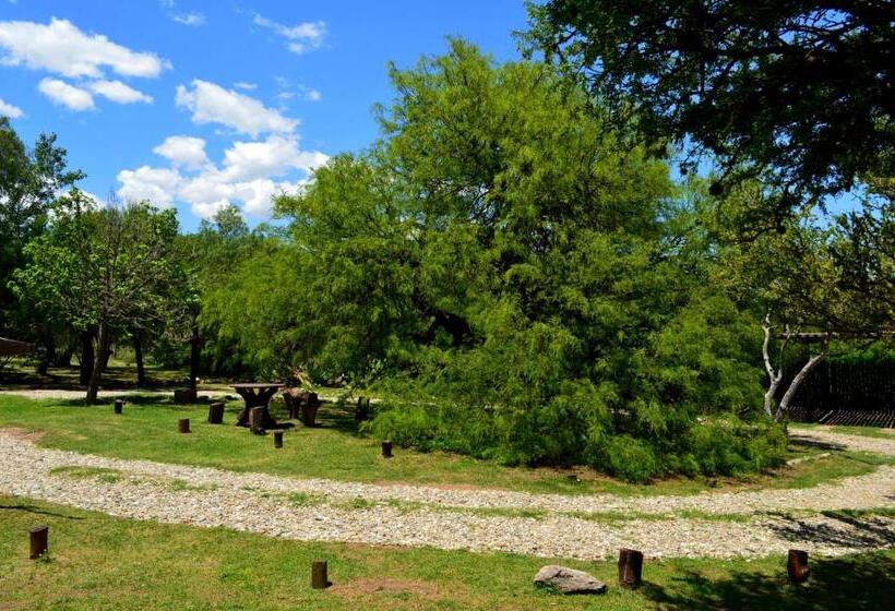 اقامتگاه Cabañas Cerros Del Sol