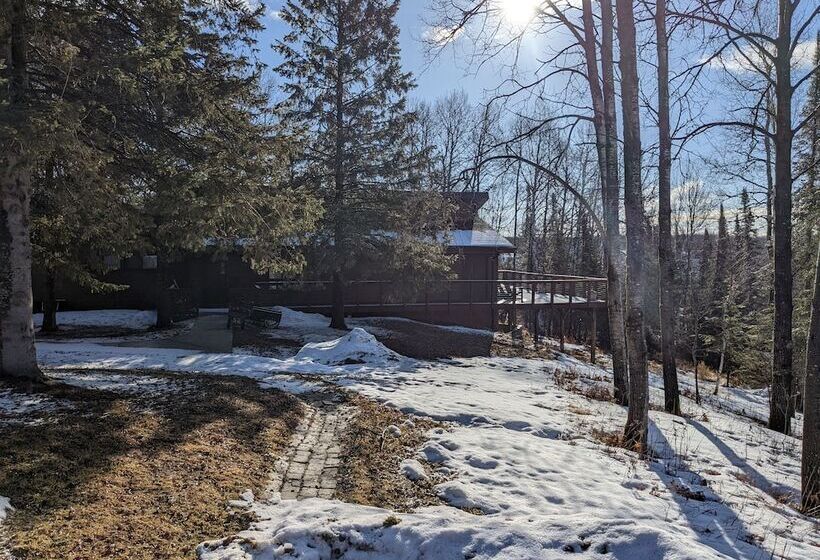 旅馆 Rustic Woodland Lodge