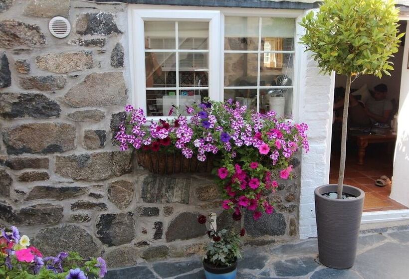 Ginentonic Cottage