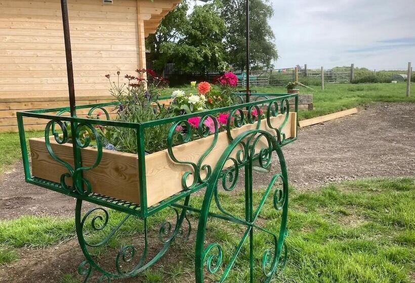 ホテル Captivating 1 Bed Lodge In Chesterfield