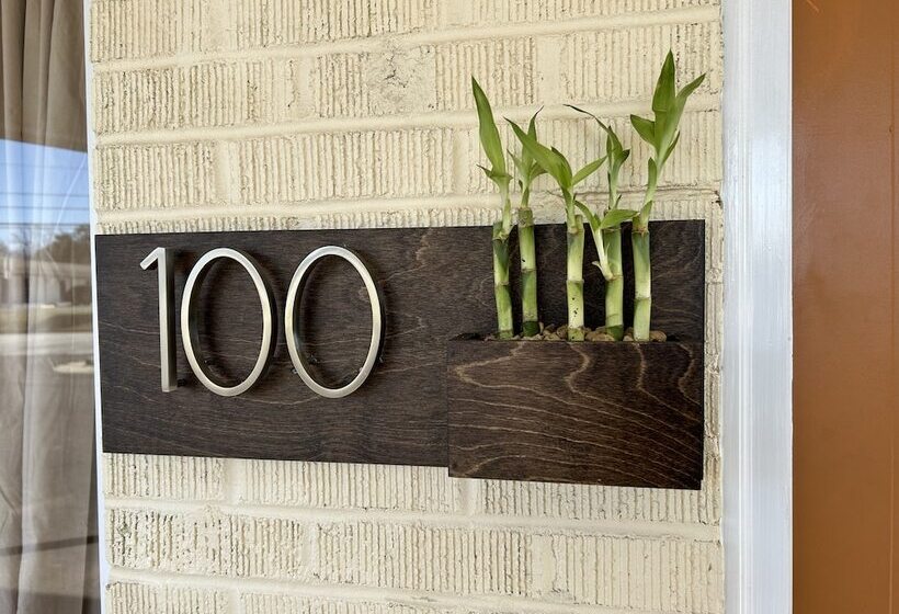 فندق New South Motor Inn