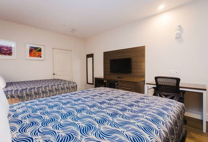هتل Palace Inn Blue I 45 & College Ave