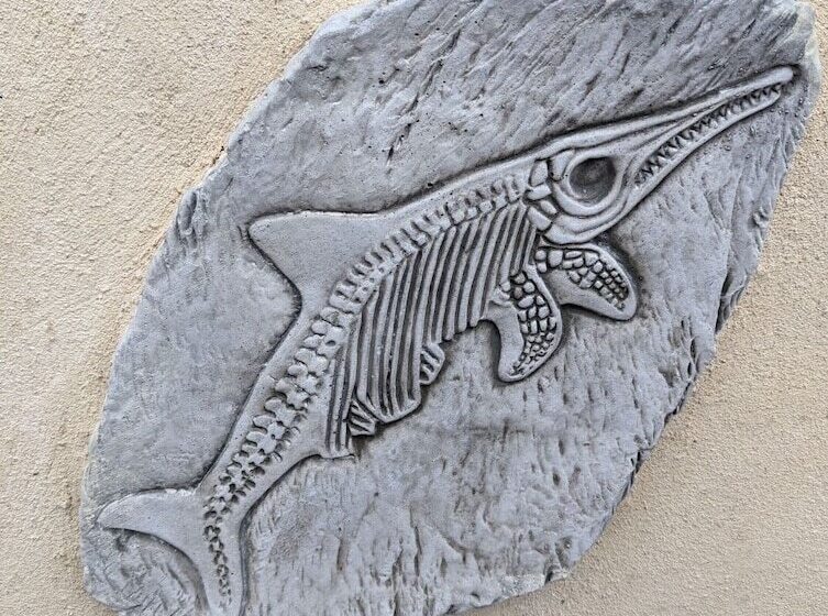 פנסיון Jurassic Bay Holidays