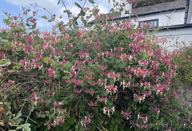 إقامة Simple Luxury In Brecon Beacons Village House