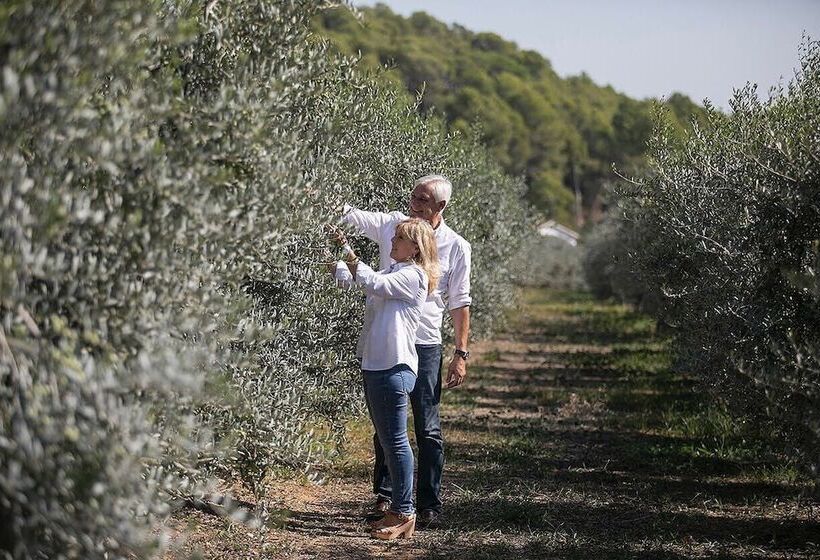 Masia Can Viver   Olive Oil Tourism B&b