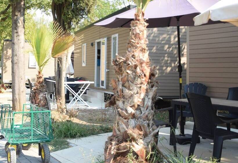 پانسیون Camping Domaine Du Golfe De Saint Tropez