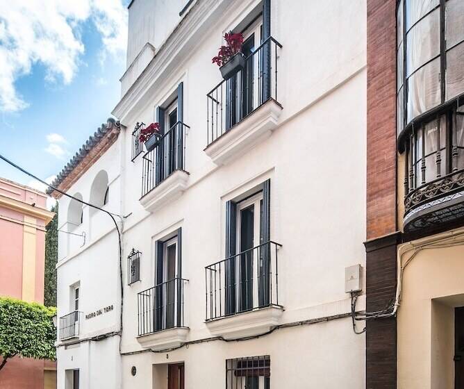 Rey De Sevilla Flats Dúplex Museo