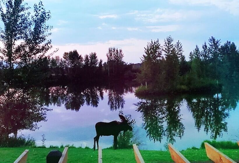 Skywater Cabins