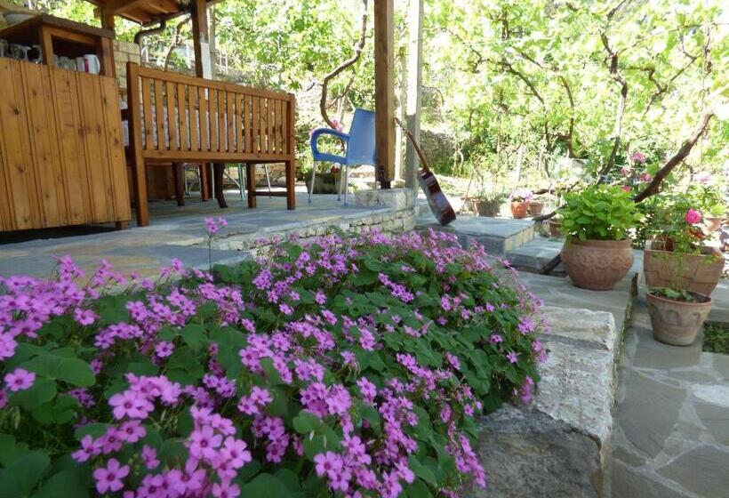 Guesthouse & Hostel Lorenc