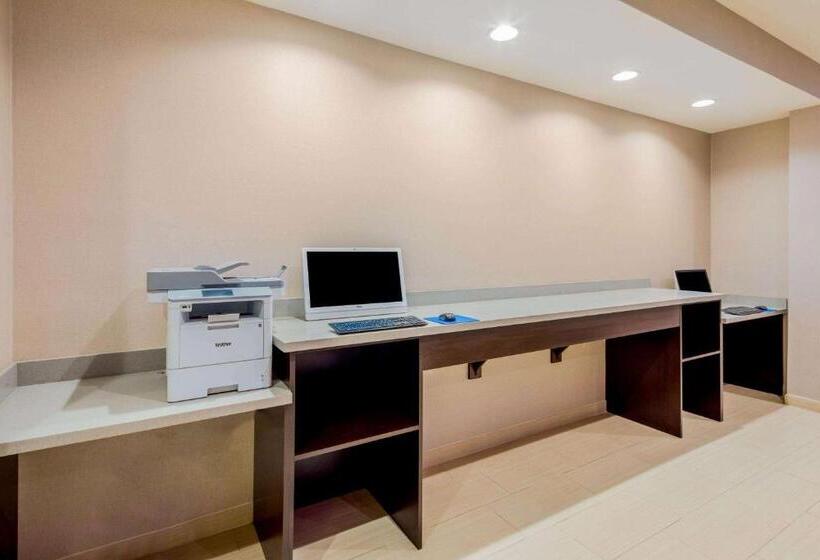 هتل La Quinta By Wyndham Mcallen Convention Center