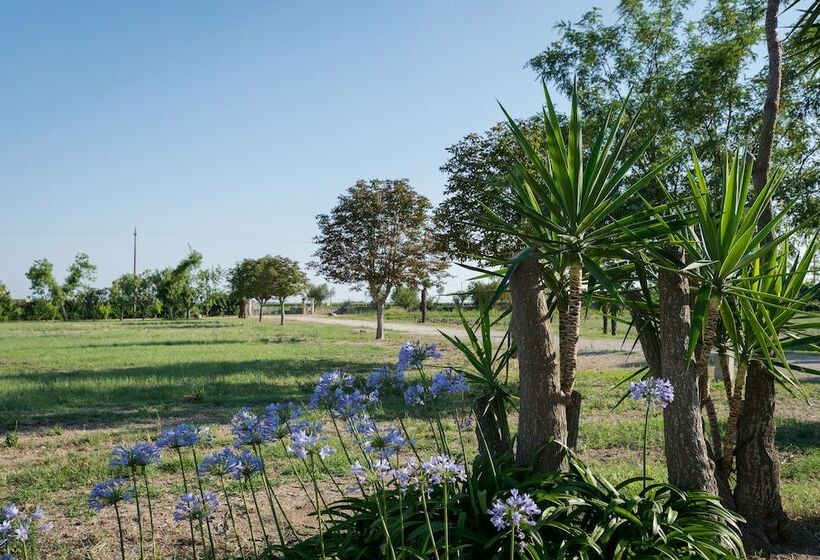 Отель Masseria Mazzetta Salento Corte Del Falconiere B&b