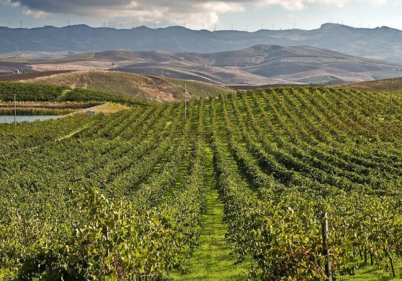 هتل Agriturismo Sirignano Wine Resort