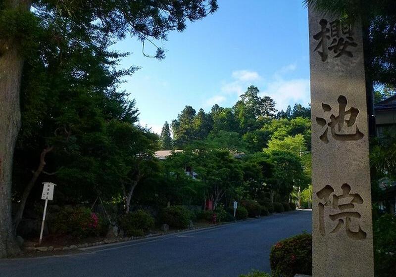 هتل 高野山 宿坊 桜池院  Koyasan Shukubo Yochiin