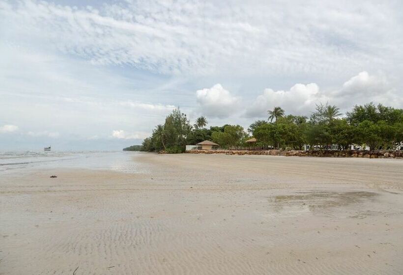هتل Mango Beach Resort