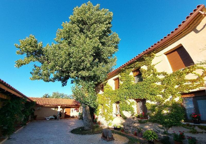בית מלון כפרי Green Lady Termal Resort