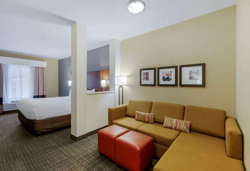 هتل Comfort Suites Loveland
