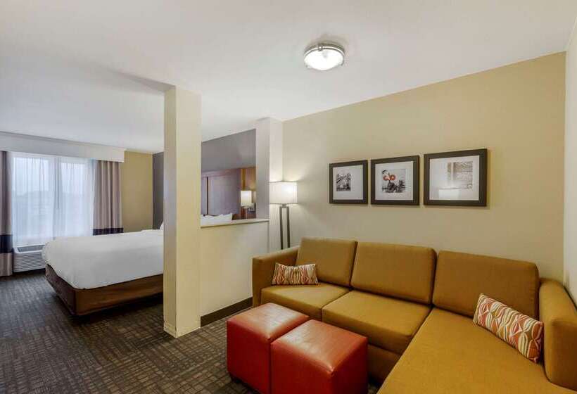 هتل Comfort Suites Loveland