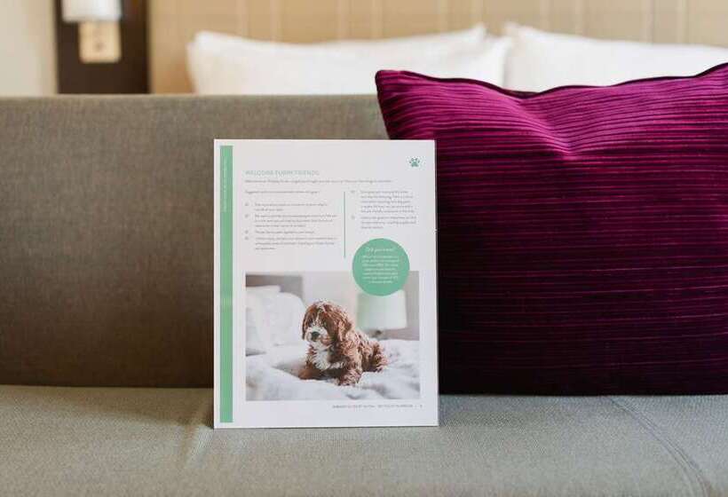 Fotos del hotel Embassy Suites By Hilton New York Manhattan Times Square:  25