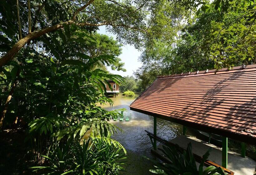 Fotos del hotel Marisa Resort & Spa Chiang Dao:  34