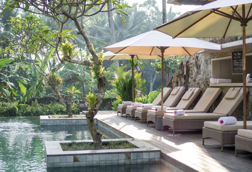 Fotos del hotel Radha Phala Resort & Spa:  10