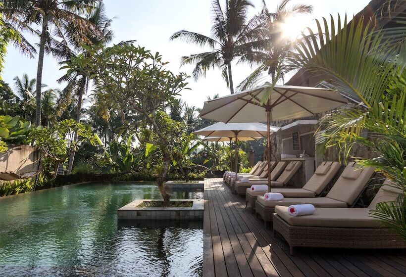 Fotos del hotel Radha Phala Resort & Spa:  16