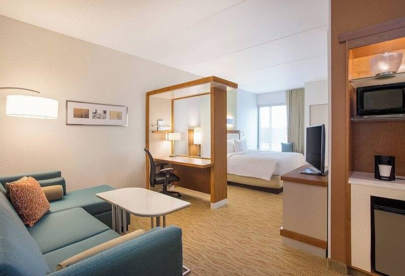 هتل Springhill Suites By Marriott Mount Laurel