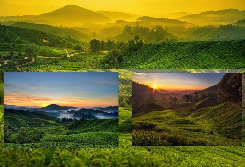 پانسیون Studio Cameron Highlands Mikayla