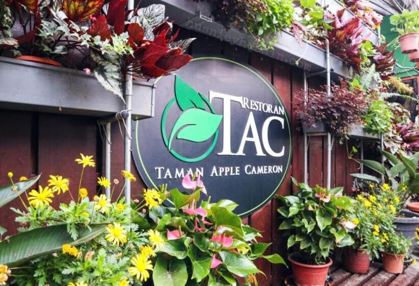 پانسیون Studio Cameron Highlands Mikayla