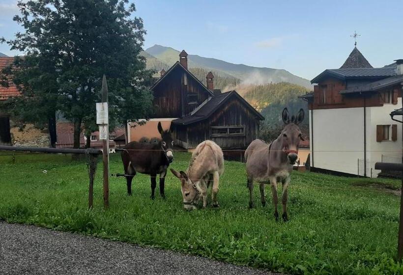 هتل Albergo Bar Ristorante Da Gina