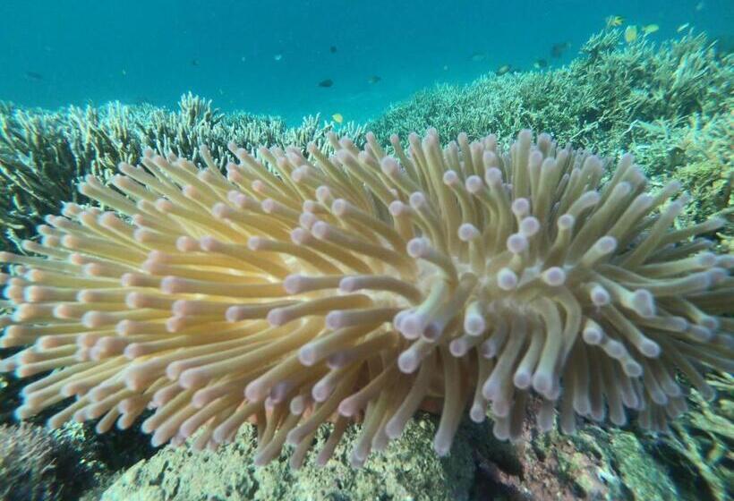 پانسیون Private Island Guest House