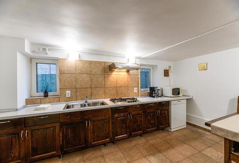 Pensiunea Casa Bono